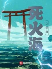 死火海之雷尊封面