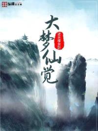 大梦仙觉封面