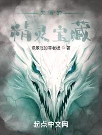 失落的精灵宝藏封面