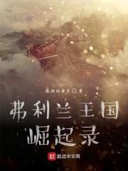 弗利兰王国崛起录封面