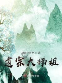 道宗大师姐封面