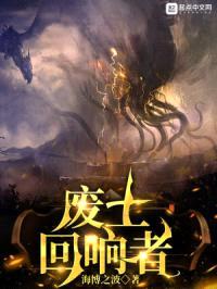 废土回响者封面
