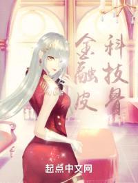 金融皮，科技骨封面