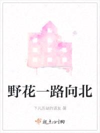 野花一路向北封面