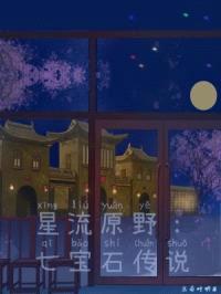 星流原野：七宝石传说封面