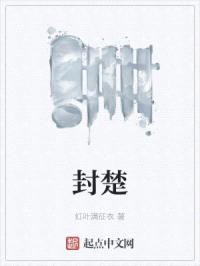 封楚封面