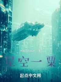 星空一粟封面