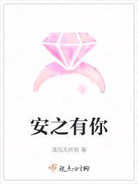 安之有你封面
