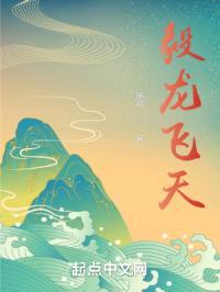 毅龙飞天封面