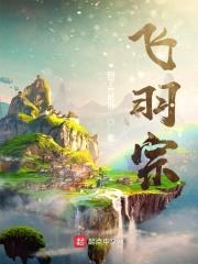 飞羽宗封面