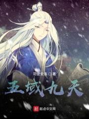 五域九重天封面