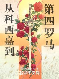 从科西嘉到第四罗马封面