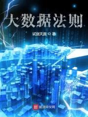 大数据法则封面