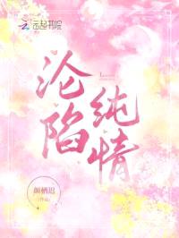 沦陷纯情封面