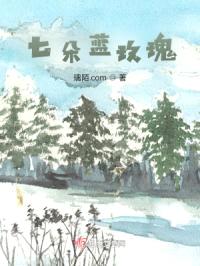 七朵蓝玫瑰封面