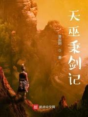 天巫秉剑记封面