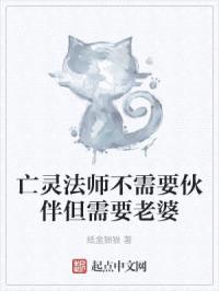 亡灵法师不需要伙伴但需要老婆封面