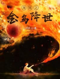 海贼之金乌降世封面