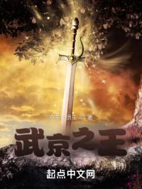 武京之王封面
