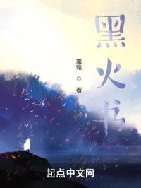 黑火书封面