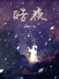 皓夜封面