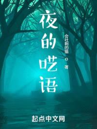 夜的呓语封面