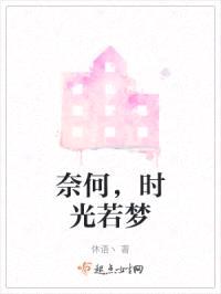 奈何，时光若梦封面