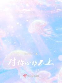 对你心动不止封面