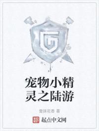 宠物小精灵之陆游封面