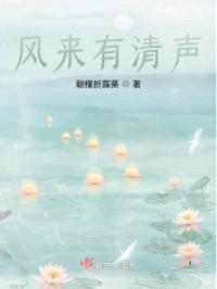 风来有清声封面