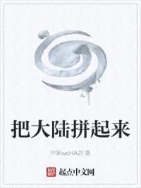 把大陆拼起来封面