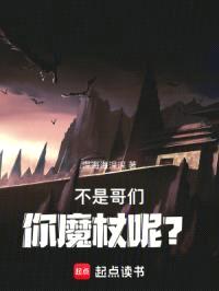 魔法师的枪里没有子弹封面