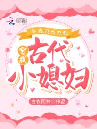 开局送游戏随从，我在古代搞基建封面