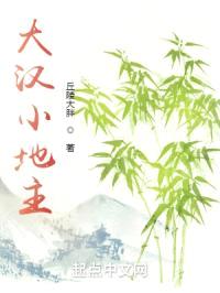 大汉小地主封面
