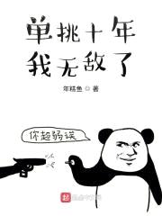 单挑十年，我无敌了封面