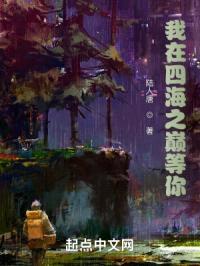 我在四海之巅等你封面
