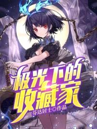 极光下的收藏家封面