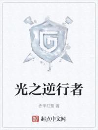光之逆行者封面