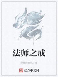 法师之戒封面
