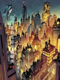 DC，我的哥哥是蝙蝠侠封面