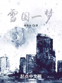 雪国一梦封面