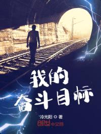 我的奋斗目标封面