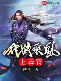 我欲乘风上云霄封面