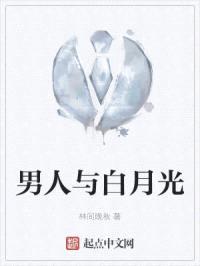 男人与白月光封面