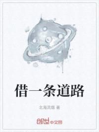 借一条道封面