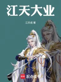 江天化微服私访记封面