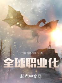 全球职业化封面