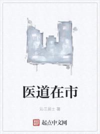 医道在市封面