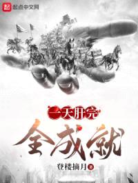 一天肝完全成就封面