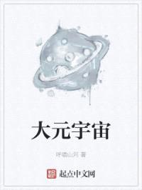 大元宇宙封面